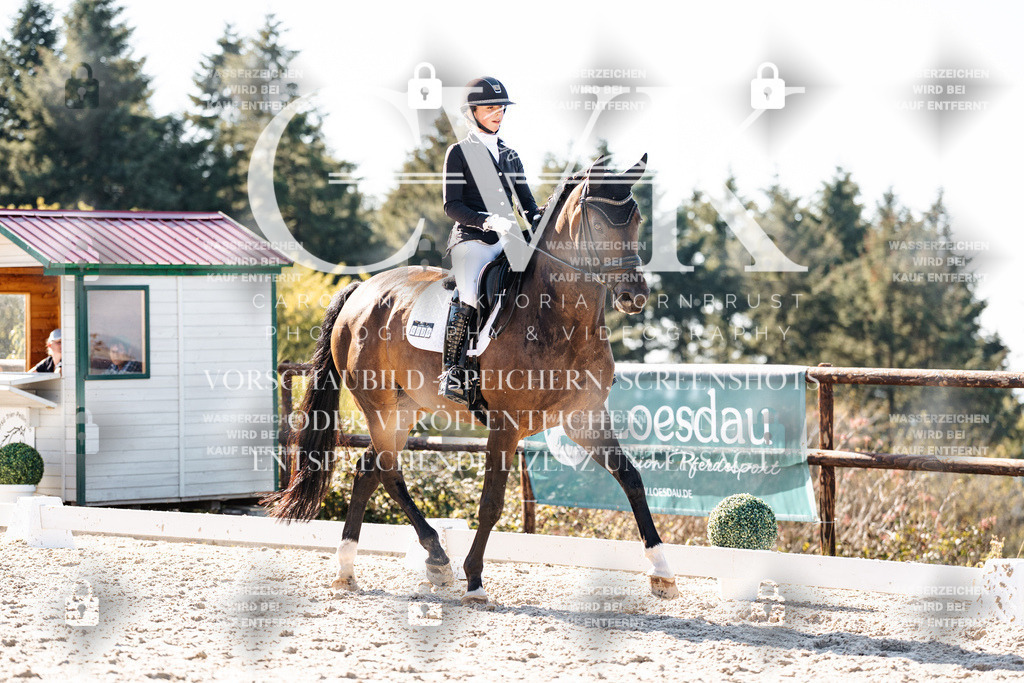 CK905890 | Turnierfotografie Pferdefotografie Trier Rheinland-Pfalz Pferdesport Reitsport Tierfotografie Sportfotografie Pferdevideo Pferdevideografie Equestrianvideography equestrianphotography  - Realisiert mit Pictrs.com