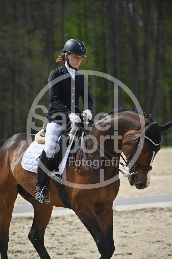 DSC_4224 | sattelsport - Realisiert mit Pictrs.com