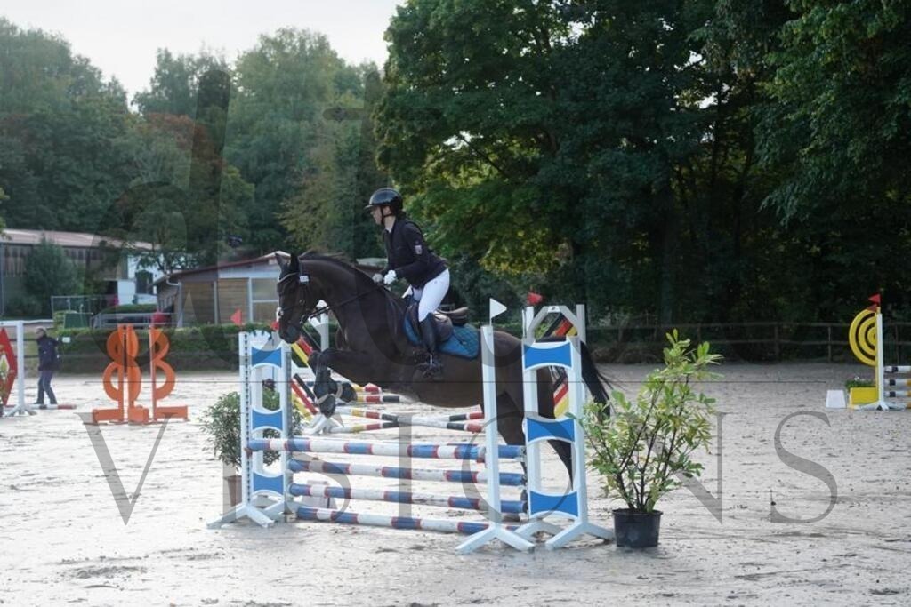 rveinoedsonntag (37) | d.tail Visions - Shop - Realisiert mit Pictrs.com