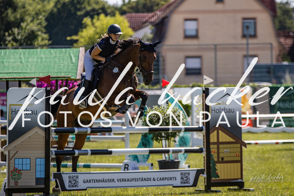 IMG_0204 | Erleben Sie dynamische Sport- und emotionale Tierfotografie in Süddeutschland mit Fotos von Paula. Spezialisiert auf Pferde- und Hundefotografie sowie Sportevents. Kontaktieren Sie mich für einzigartige und ausdrucksstarke Bilder Ihrer besonderen Momente.