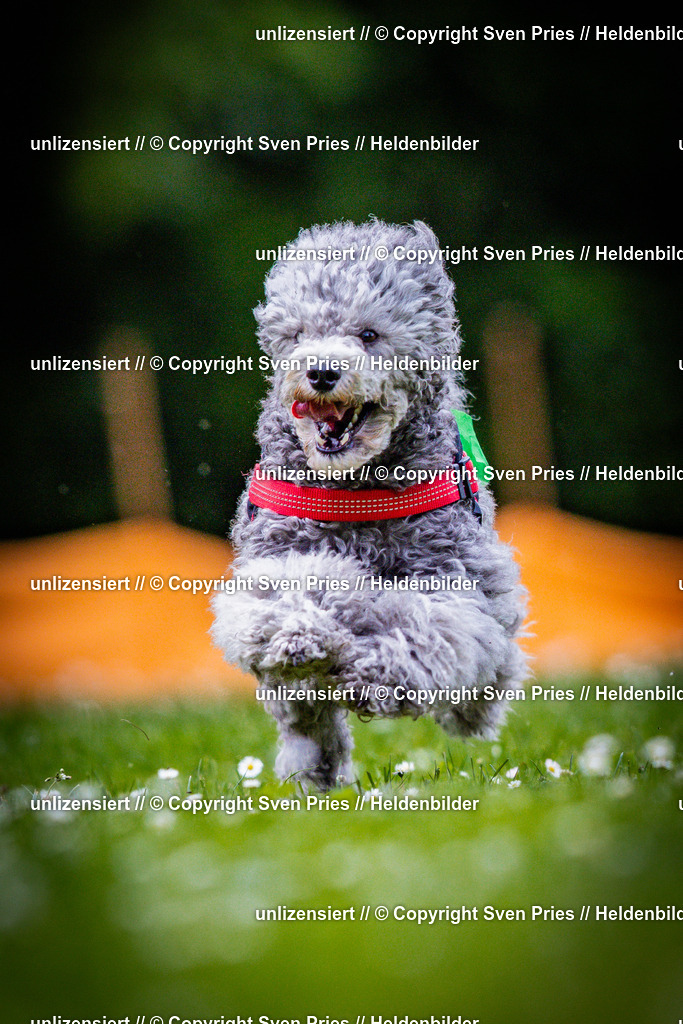 Sven Pries | 2025-05-29 - Pudelrennen KA-Durlach - Realisiert mit Pictrs.com