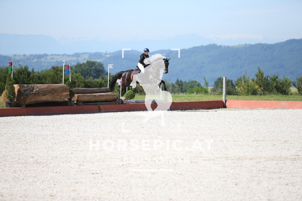 PP013450 | Willkommen bei Brunnmayr - Design & Fotografie – Ihrem Spezialisten für Reitturniere und Pferdeveranstaltungen in Oberösterreich, Salzburg und Bayern! Seit über 17 Jahren sind wir leidenschaftlich dabei.