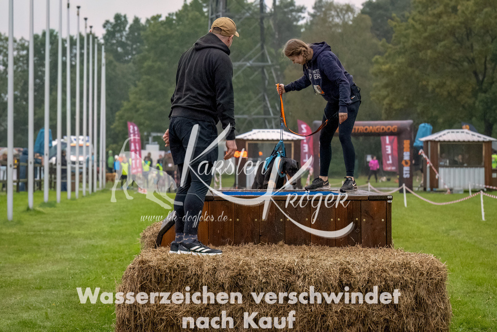 1017--6 | kk-dogfotos