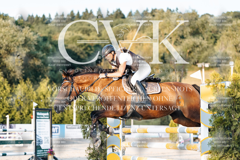 CK901043 | Turnierfotografie Pferdefotografie Trier Rheinland-Pfalz Pferdesport Reitsport Tierfotografie Sportfotografie Pferdevideo Pferdevideografie Equestrianvideography equestrianphotography  - Realisiert mit Pictrs.com