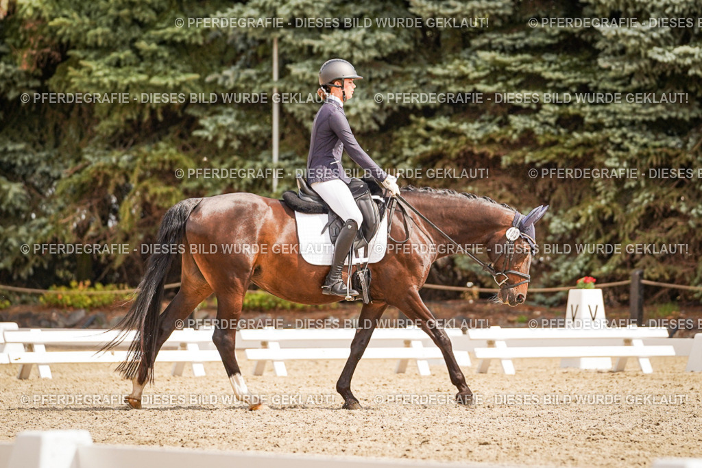 DSC01561 | Pferdegrafie