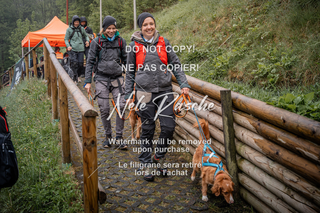 nelerasche_SoAuszug_23 | nelerasche