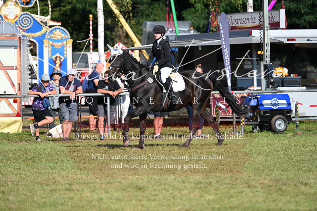DSC_5138 | Pferde- und Turnierfotografie in Westsachsen. Pferdeportraits, Auftragszeichnungen und intuitive Kunst.