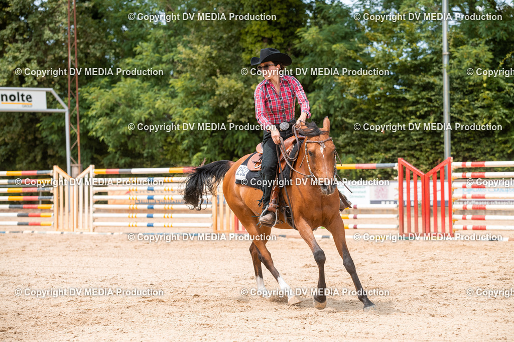 EWP_6409 | dv-media-shop - Realisiert mit Pictrs.com