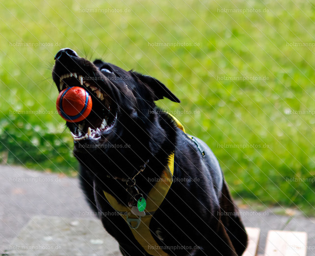 _MG_1447 | Fotograf Leipzig für Hochzeiten, Familienfeste & Porträts. Persönlich, ehrlich & echt – Emotion im Fokus. Jetzt Fotoshooting bei Holzmannphotos buchen!