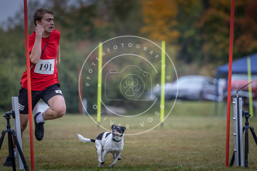Pfotenfotografie_DV3A0301 | Hundefotografie, Tierfotograf, Pfotenfotografie, Fotoshooting Hund, Hunde Portrait, Hundesport, Hundeportraits, Heideshooting, Hunde, Sportfotograf, Hundefotograf, Turnierhundsport, THS,  - Realisiert mit Pictrs.com