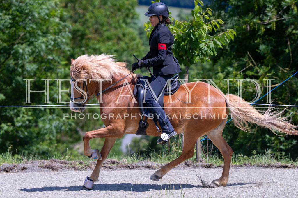 KAI03394 | Ihr sucht einen Fotografen für eure nächste OSI? Ich begleite auch euer Turnier für Islandpferde fotografisch.  - Realisiert mit Pictrs.com