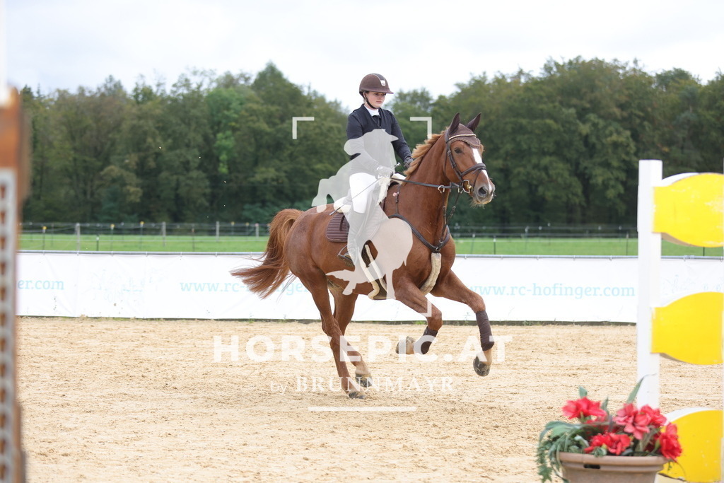 0P6A1590 | Willkommen bei Brunnmayr - Design & Fotografie – Ihrem Spezialisten für Reitturniere und Pferdeveranstaltungen in Oberösterreich, Salzburg und Bayern! Seit über 17 Jahren sind wir leidenschaftlich dabei.