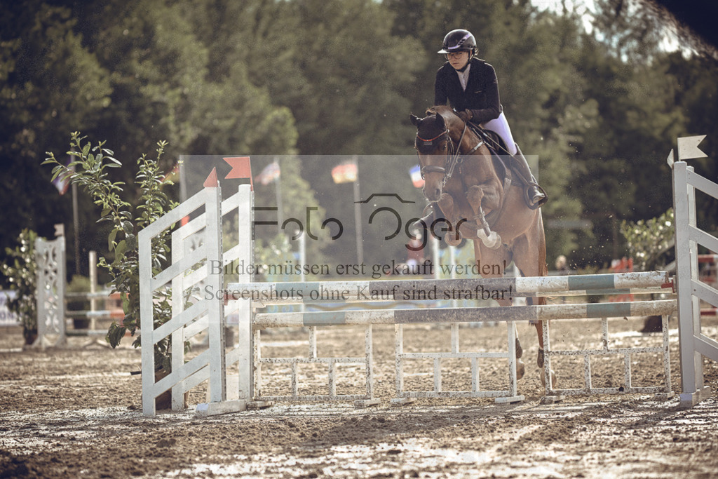 20240531-DOS_0022 | Entdecke hochwertige Reitturnierfotos von Foto Oger. Professionell, emotional und authentisch – jetzt Lieblingsmomente im Shop bestellen.Deutschlandweite Turnierfotografie. - Realisiert mit Pictrs.com