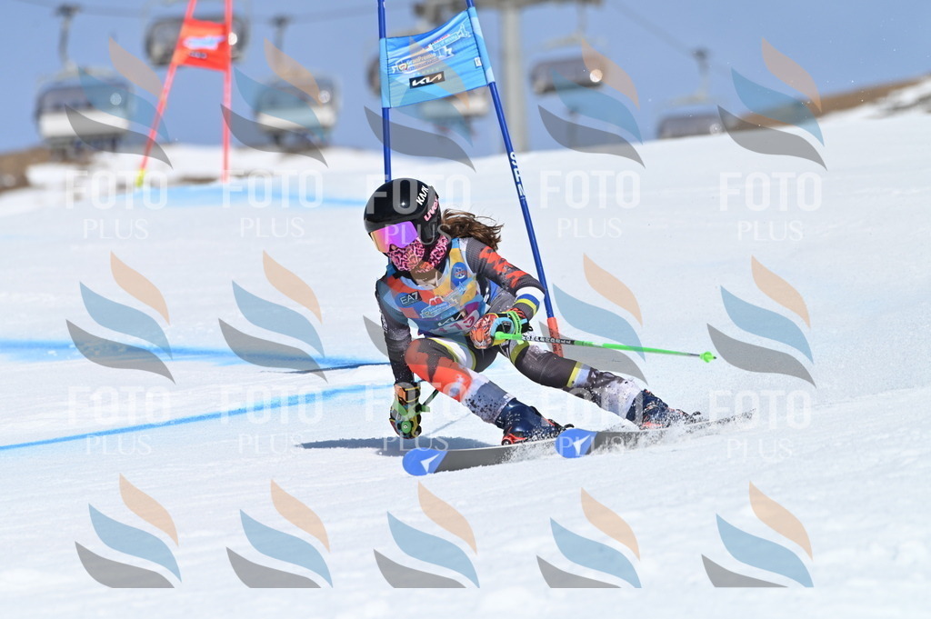 BGV_9685 | holidayphoto