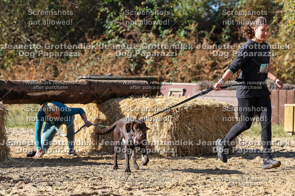 Dog Paparazzi - Strongdog 10-25-4681 | Dog Paparazzi Jeanette Grottendiek Fotografie & Videografie - Realisiert mit Pictrs.com