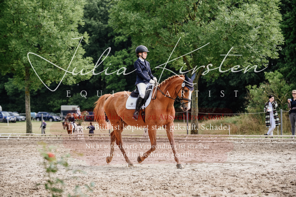 DSC_0044 | Pferde- und Turnierfotografie in Westsachsen. Pferdeportraits, Auftragszeichnungen und intuitive Kunst.