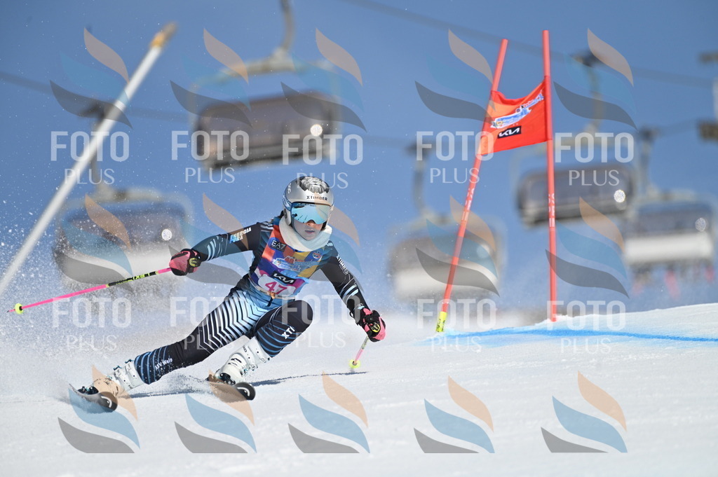 BGV_8477 | holidayphoto