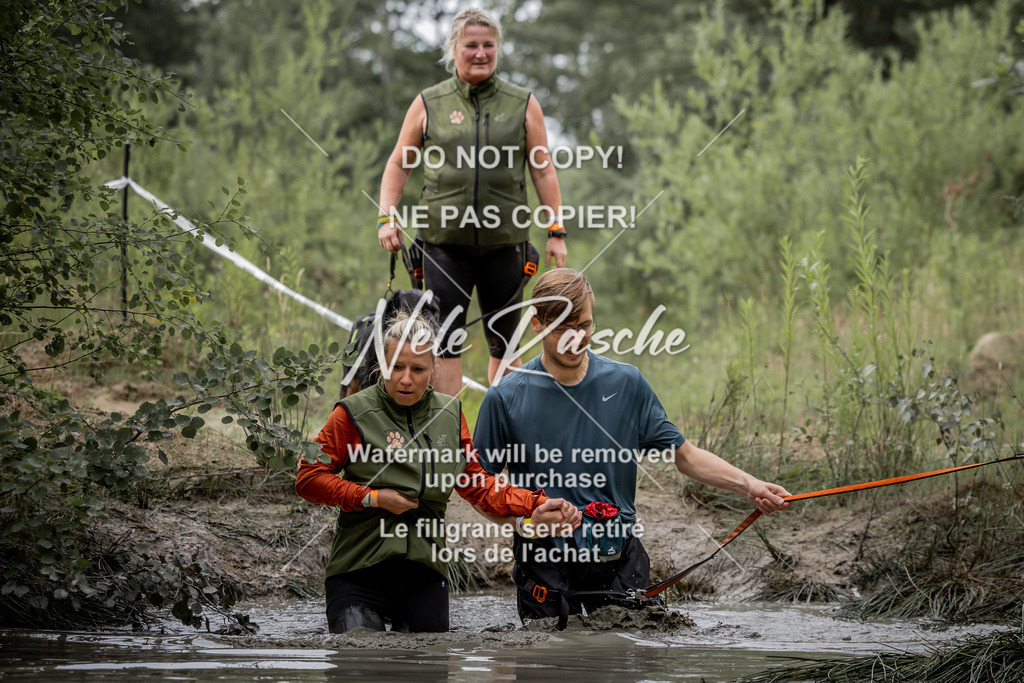 nelerasche_so0800-0930_241 | nelerasche