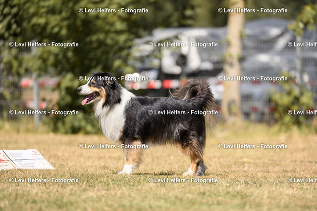 _DSC6490 | levihelfersfotografie