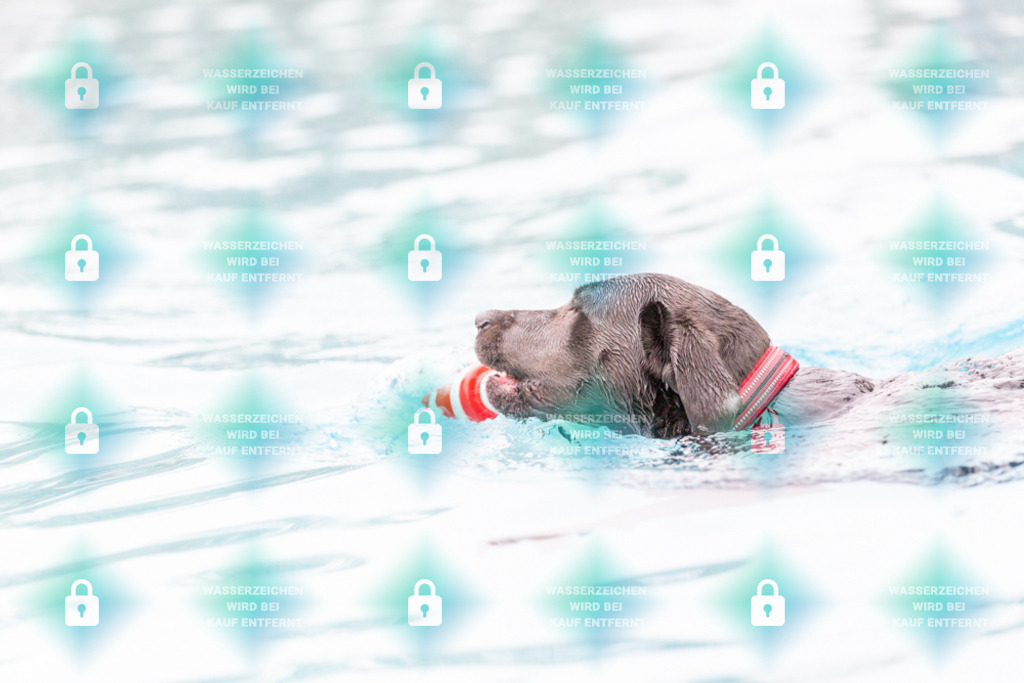 _HP_7199_1000o | HetPix, HetPix Fotodesign, Fotografie, Fotodesign, Webshop, Sportfotografie, Portraitfotografie, Onlineshop, Sportfotografie, Polch, Motorsportfotografie, Eventfotografie