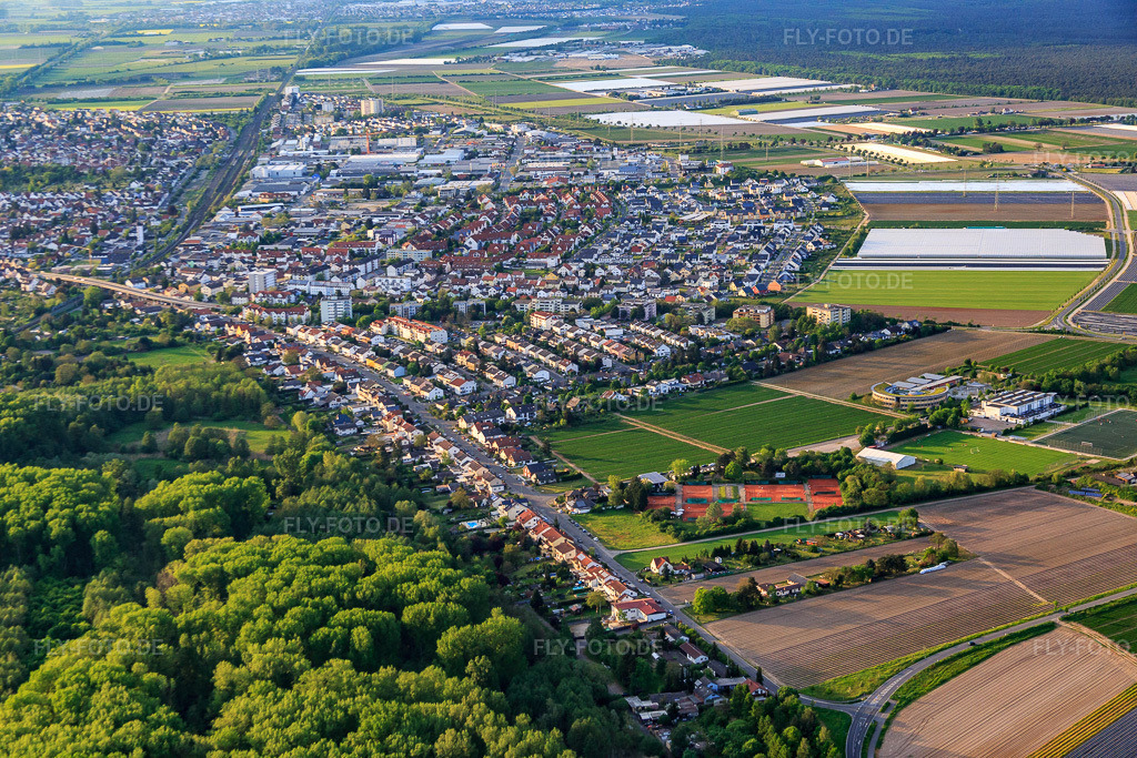 Luftbild: Alte Viernheimer Straße in Lampertheim im Bundesland Hessen in Deutschland. Foto: IMG_088279.jpg vom 09.05.2016 durch Werner Riehm/FLY-FOTO.de
