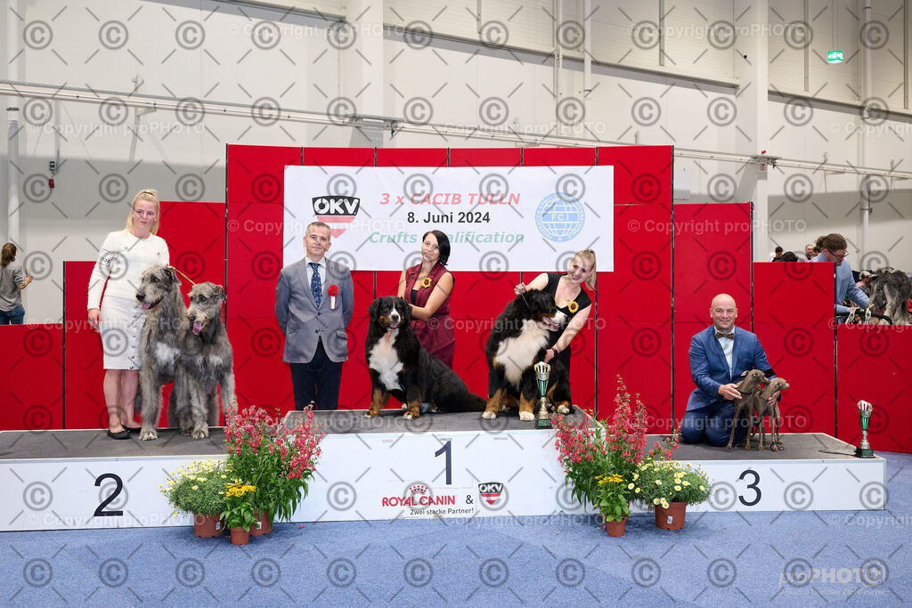 202406_ÖKV-IHA-Tulln24_NZ9_8630 | proPHOTO - Realisiert mit Pictrs.com