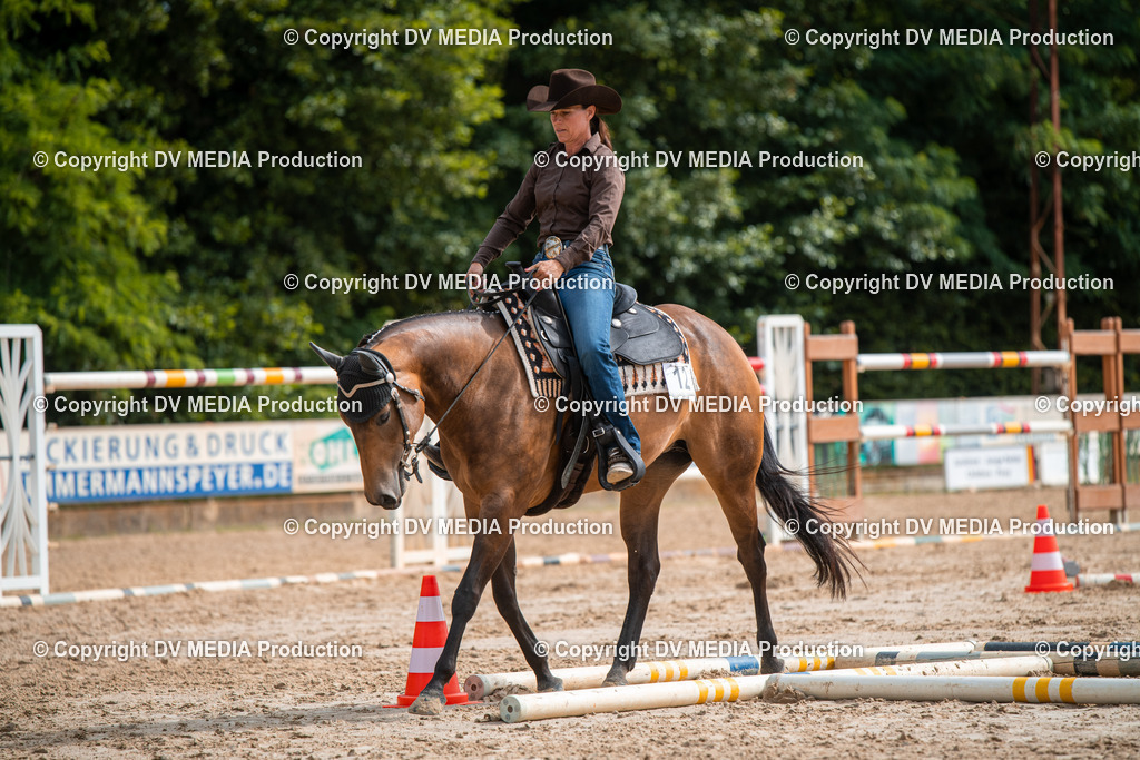 ZS3_9338 | dv-media-shop - Realisiert mit Pictrs.com