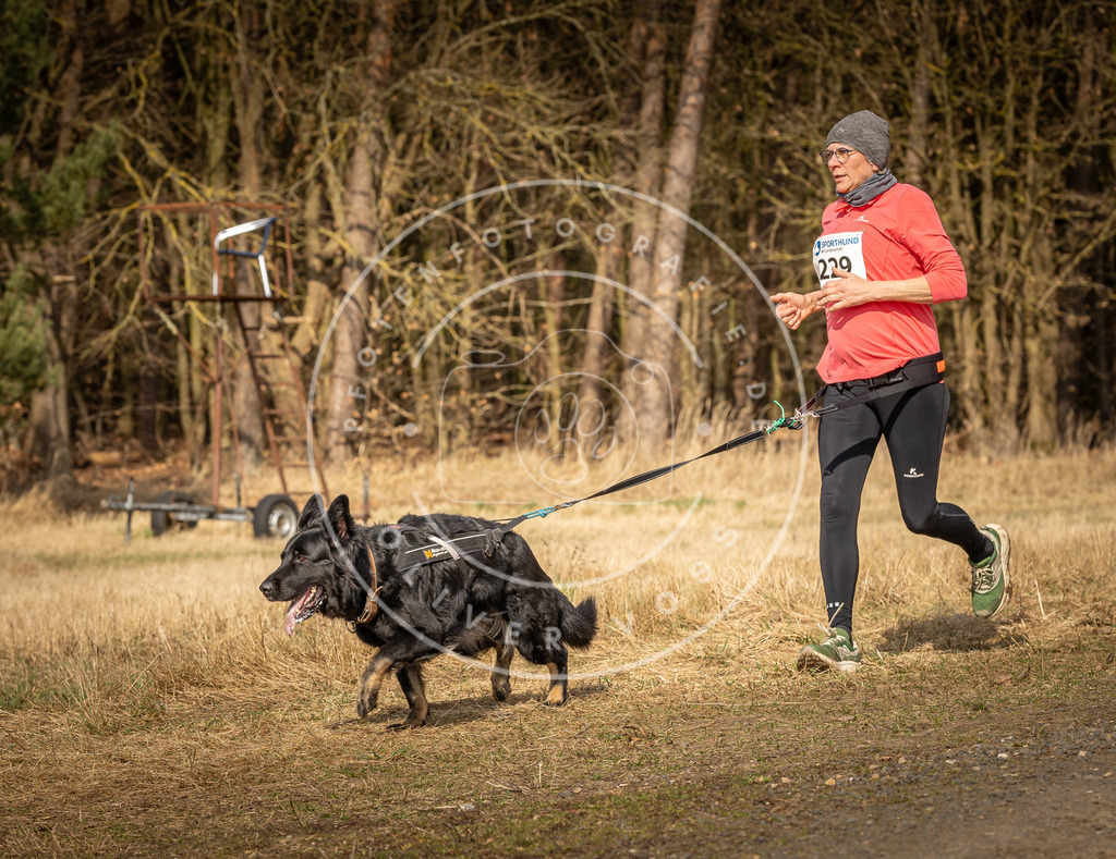 DV3A5486 | Hundefotografie, Tierfotograf, Pfotenfotografie, Fotoshooting Hund, Hunde Portrait, Hundesport, Hundeportraits, Heideshooting, Hunde, Sportfotograf, Hundefotograf, Turnierhundsport, THS,  - Realisiert mit Pictrs.com