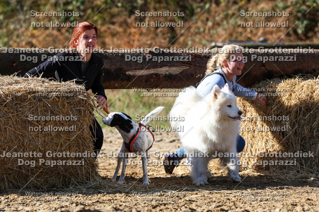Dog Paparazzi - Strongdog 10-25-2960 | Dog Paparazzi Jeanette Grottendiek Fotografie & Videografie - Realisiert mit Pictrs.com
