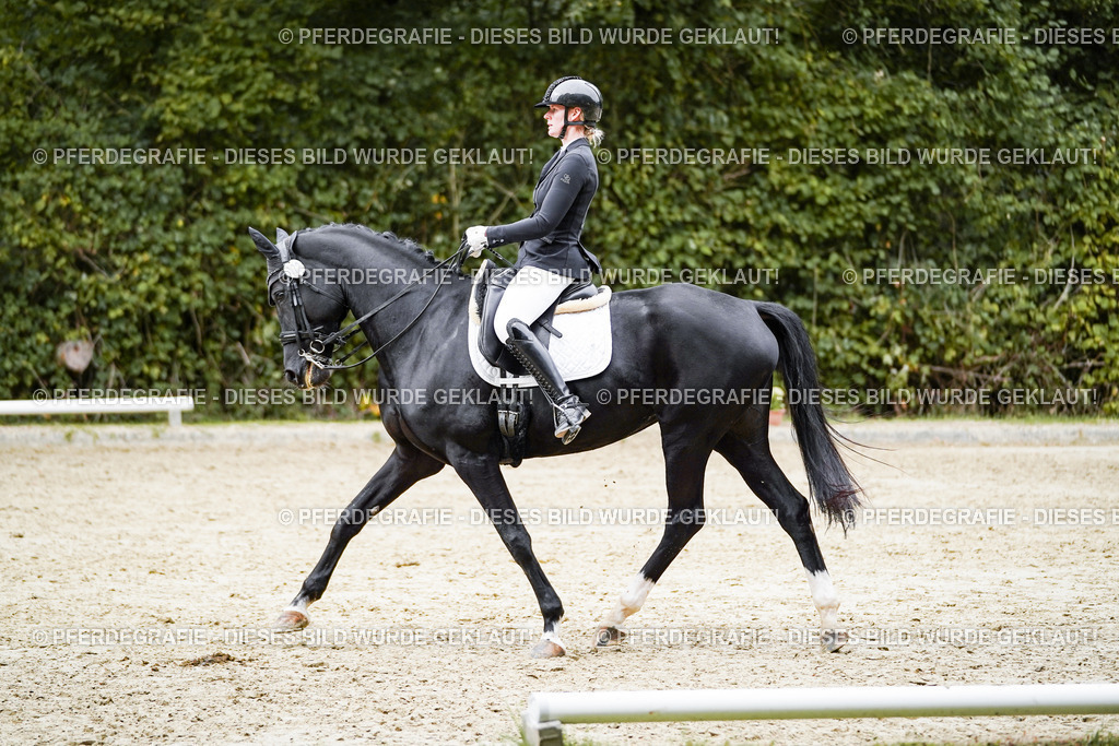 DSC02286 | Pferdegrafie