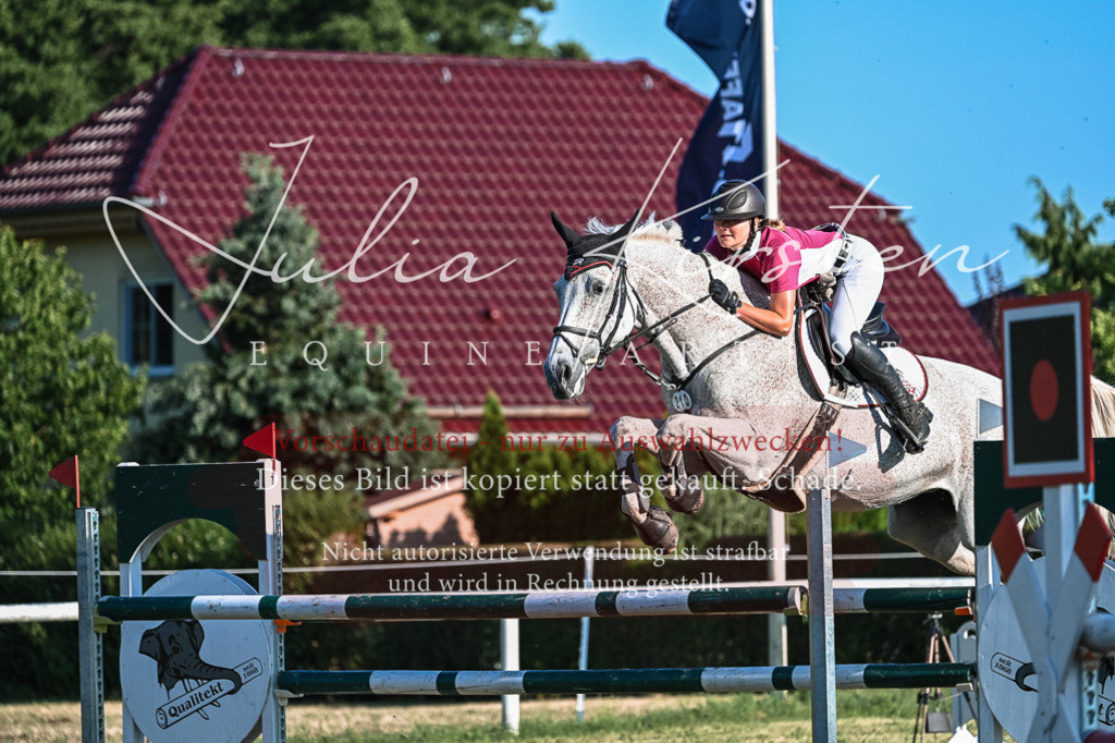 DSC_3006 | Pferde- und Turnierfotografie in Westsachsen. Pferdeportraits, Auftragszeichnungen und intuitive Kunst.