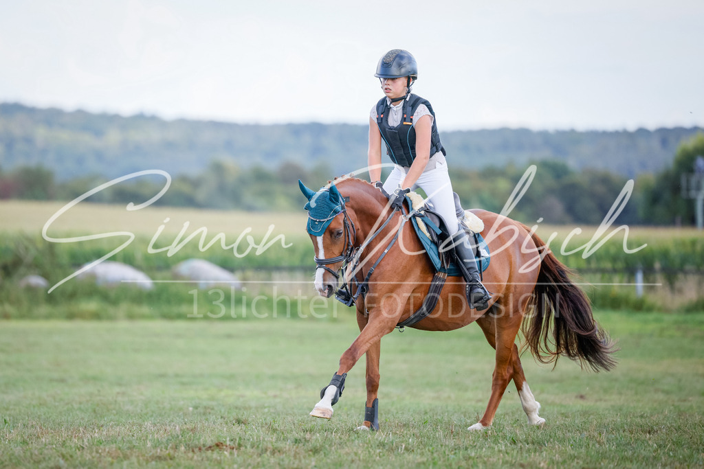 20250905-_3LI1947 | Tierfotografie Pferde, Hunde, Katzen, Haustiere.
Turnierfotografie Reitturniere, Reiten, Springreiten, Dressur in Hanau, dem Main-Kinzig-Kreis und dem Rhein-Main- Gebiet um Frankfurt