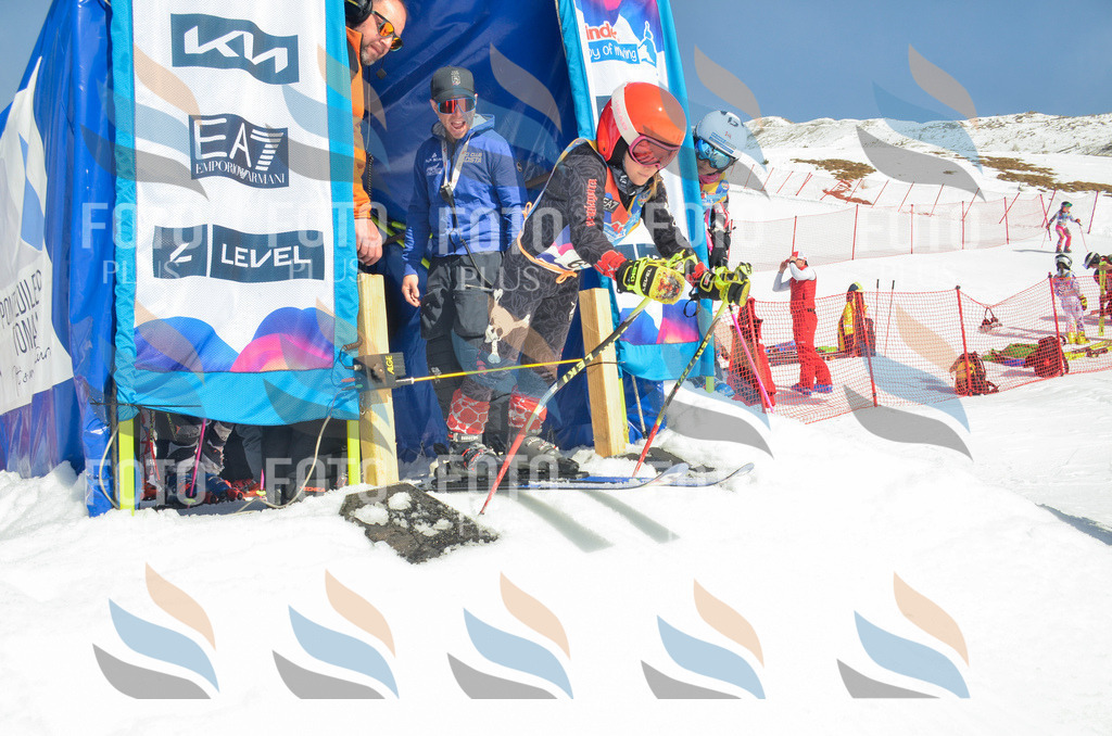 _ELE5362 | holidayphoto