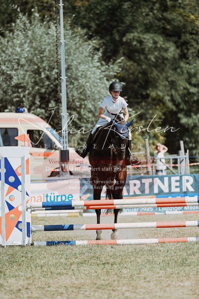DSC_9656 | Pferde- und Turnierfotografie in Westsachsen. Pferdeportraits, Auftragszeichnungen und intuitive Kunst.