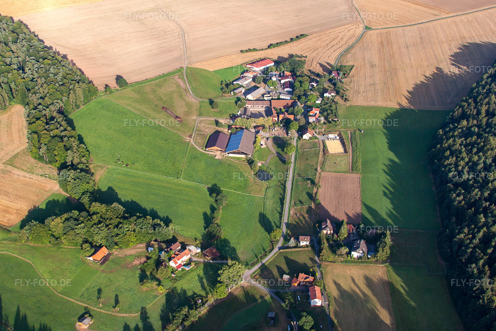 Luftbild: Roßbacher Hof in Erbach im Bundesland Hessen in Deutschland. Foto: IMG_52087.jpg vom 19.08.2012 durch Werner Riehm/FLY-FOTO.de
