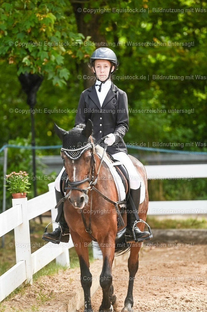 20230716_10-2_Reiter-WB Schritt - Trab - Galopp_0192 | equistock