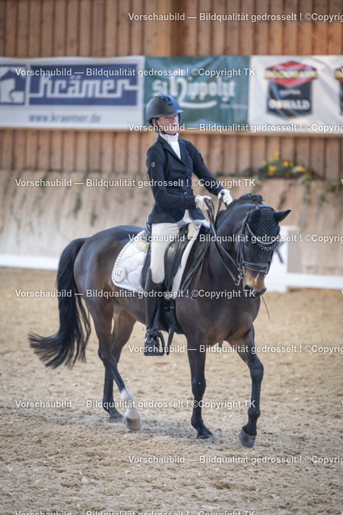 _D5A5159 | Emotionale Pferde- & People-Fotografie rund um Heidelberg, Leimen & Umgebung. Natürliche Fotos von Pferd, Mensch & Familie. Jetzt Termin sichern!