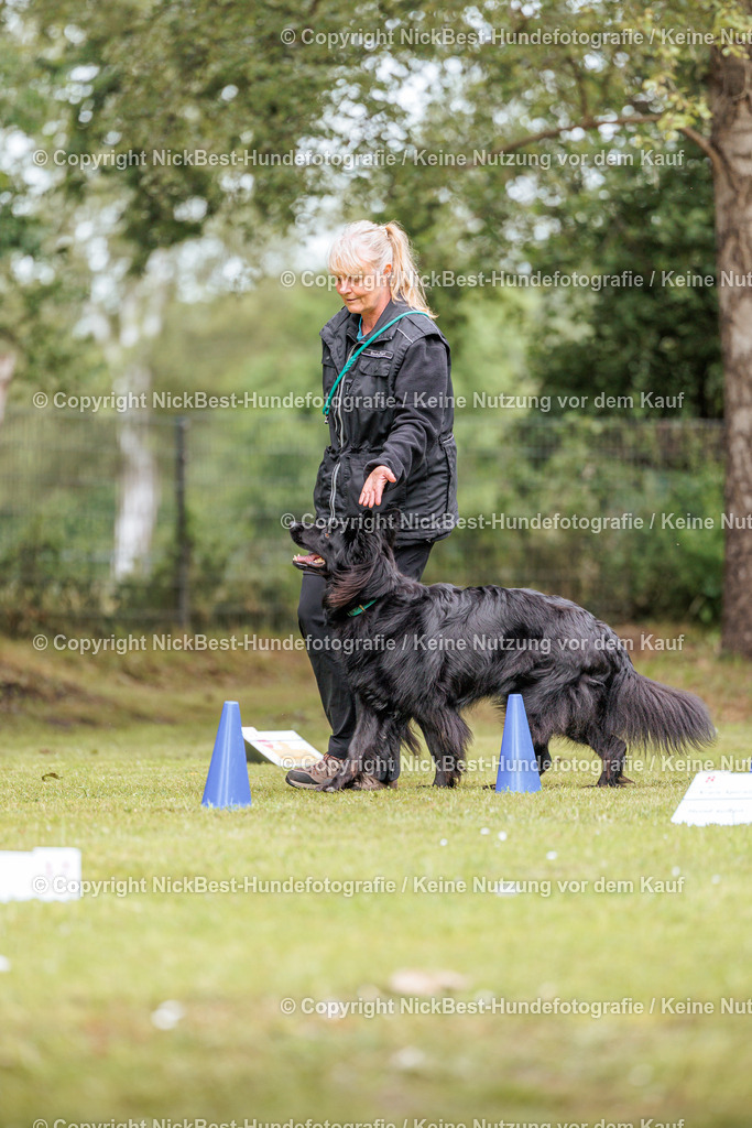 RO-Blumenthal-2026-Nickbest-Hundefotografie-3252 | Dein Hund! Dein Moment! Deine Erinnerungen! Hundefotografie in Bremen Blumenthal. Ich fange die besonderen Momente deines Vierbeiners ein – ob Indoor mit Blitzanlage oder in der freien Natur. Sicher dir dein Moment und dein Termin für eure Erinnerungen.