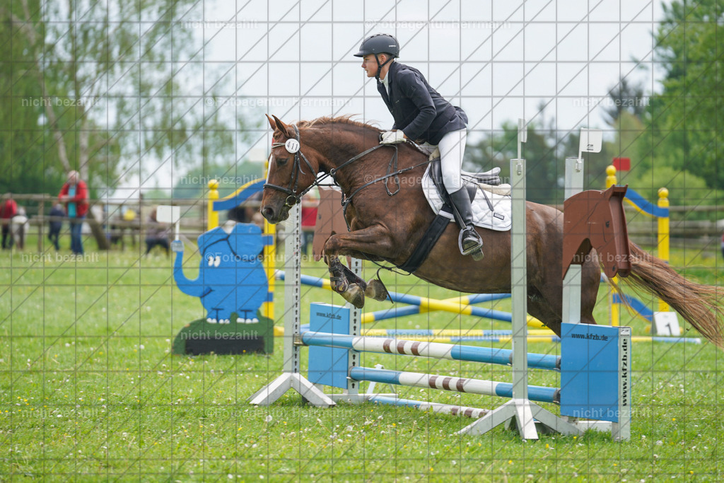 20240509-FAH02457 | Turnierbilder der Turnierfotografen Bayern, Pferdesport Fotografie, Reitsportbilder, Turnier Landberg am Lech, Turnierbilder bayern, Fotoagentur Herrmann
