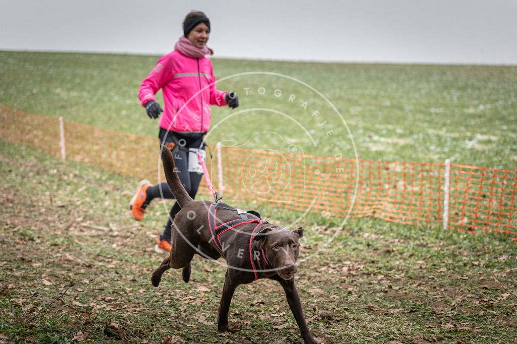 Pfotenfotografie_DV3A1877 | Hundefotografie, Tierfotograf, Pfotenfotografie, Fotoshooting Hund, Hunde Portrait, Hundesport, Hundeportraits, Heideshooting, Hunde, Sportfotograf, Hundefotograf, Turnierhundsport, THS,  - Realisiert mit Pictrs.com