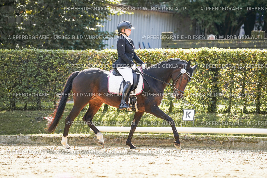 DSC07130 | Pferdegrafie