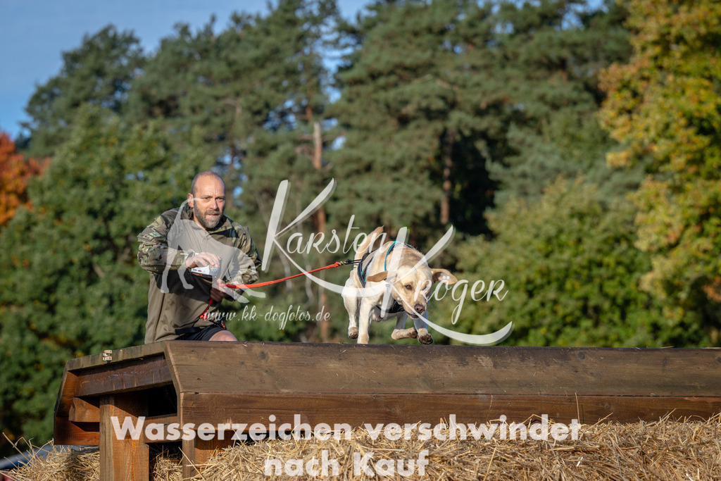 0940_ZZ91116 | kk-dogfotos