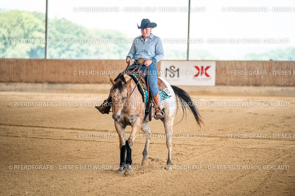 DSC03973 | Pferdegrafie