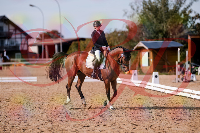 2026_10_03_Siefer-Hof_131846_Z81_66408781 | Professionelle Reitsport-, Turnier- und Eventfotografie von Robert Broda. Galerien mit ausgewählten und bearbeiteten Bildern direkt online ansehen und bestellen.