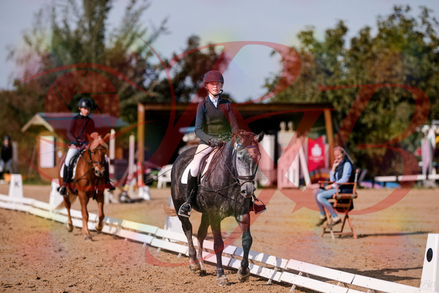 2026_10_03_Siefer-Hof_120319_Z81_04662607 | Professionelle Reitsport-, Turnier- und Eventfotografie von Robert Broda. Galerien mit ausgewählten und bearbeiteten Bildern direkt online ansehen und bestellen.