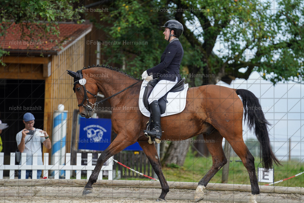 20230826-FAH05151 | Forstinning, 2023, Dressurturnier, Turniersportbilder, Turnierfotografen Bayern, Fotoagentur Herrmann, Reitsportfotografie, Turnierbilder