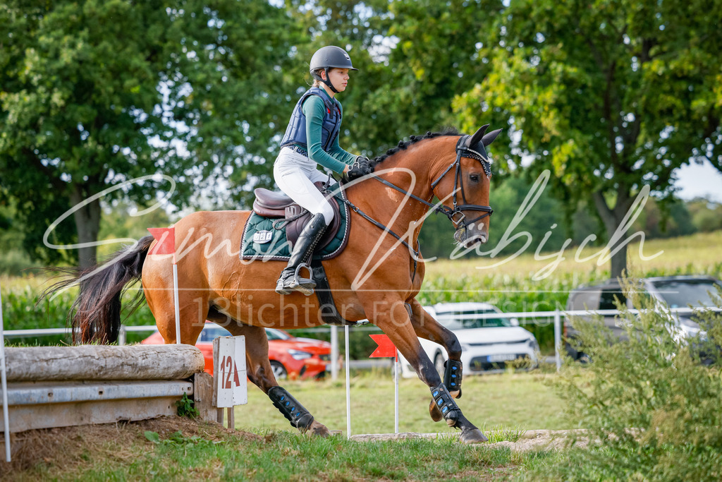 20250905-_3LI2292 | Tierfotografie Pferde, Hunde, Katzen, Haustiere.
Turnierfotografie Reitturniere, Reiten, Springreiten, Dressur in Hanau, dem Main-Kinzig-Kreis und dem Rhein-Main- Gebiet um Frankfurt