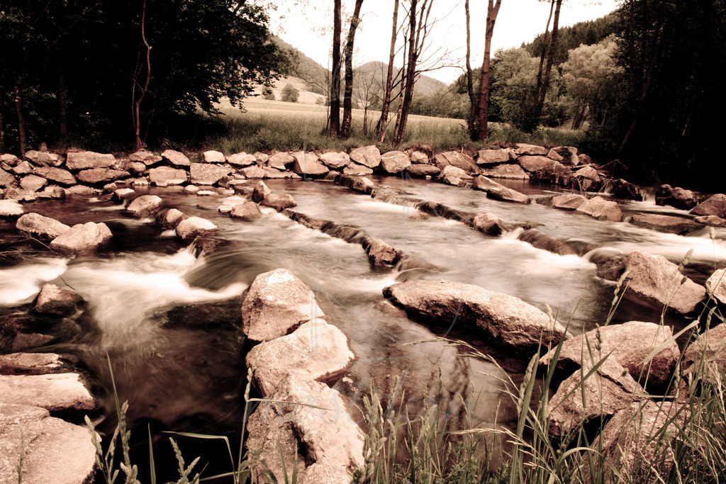 Kleine Erlauf | Bei Veröffentlichung des Bildes ist eine Namensnennung wie folgt erforderlich: 
Foto: Mostdirn Irmgard Wieser - Realisiert mit Pictrs.com