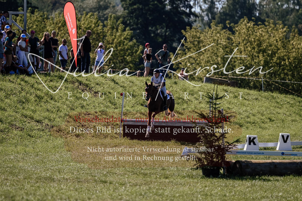 DSC_1338 | Pferde- und Turnierfotografie in Westsachsen. Pferdeportraits, Auftragszeichnungen und intuitive Kunst.