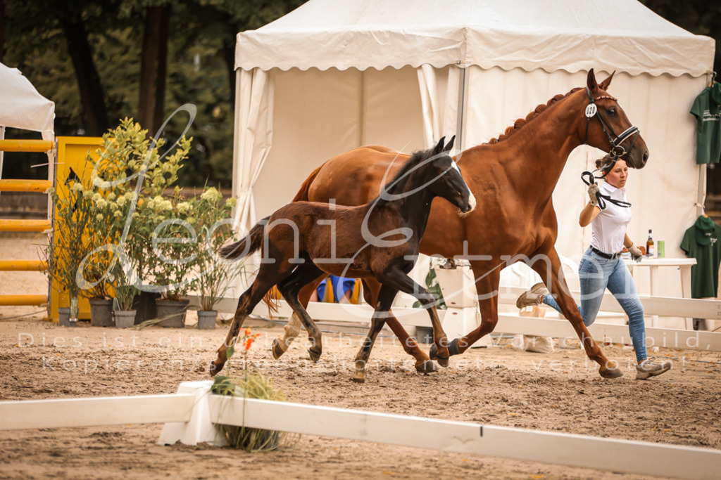 SaPA00294 | Leoni Ertmer Photography - Realisiert mit Pictrs.com